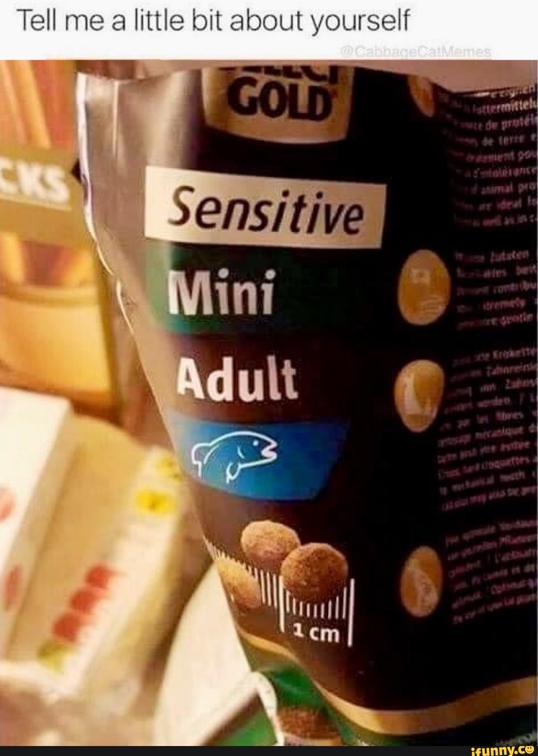 Tell me a little bit about yourself
\ -
Adult