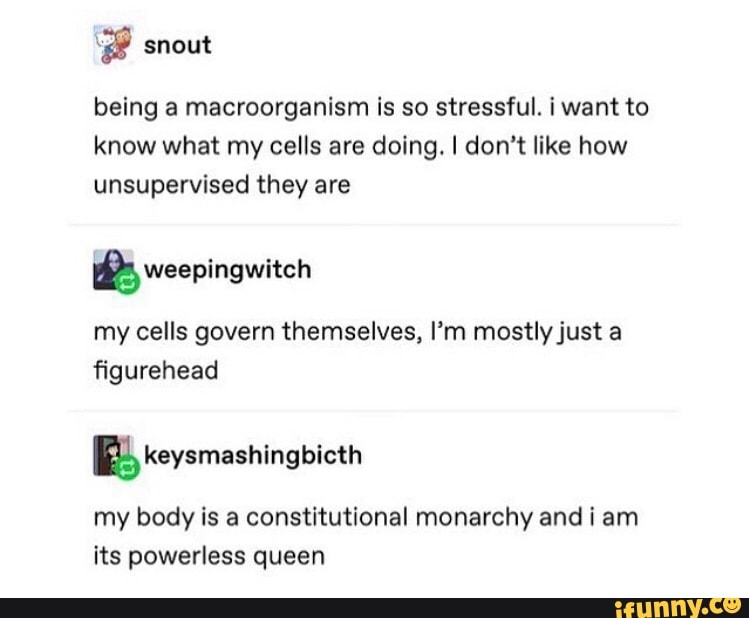 É being a macroorganism is so stressful. iwant to know what my cells ...