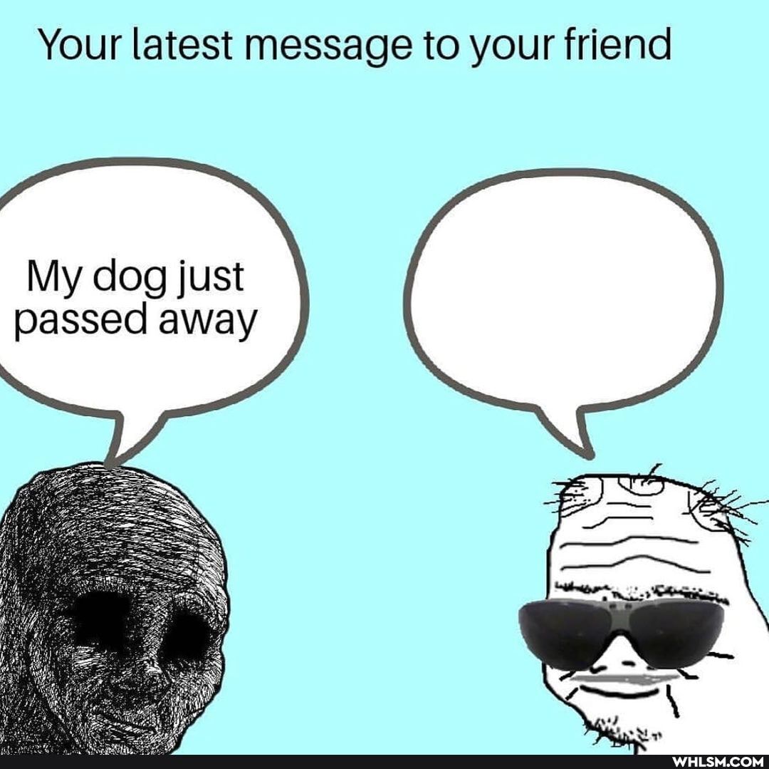 Your latest message to your friend
My dog just passed away
