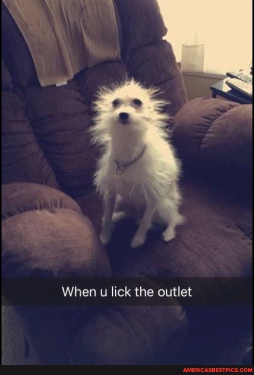 When u lick the outlet