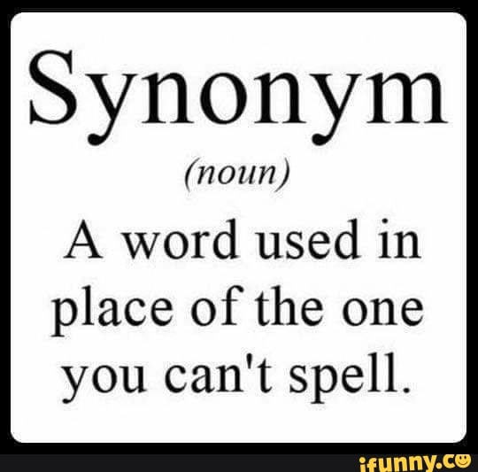 duplicate synonym noun