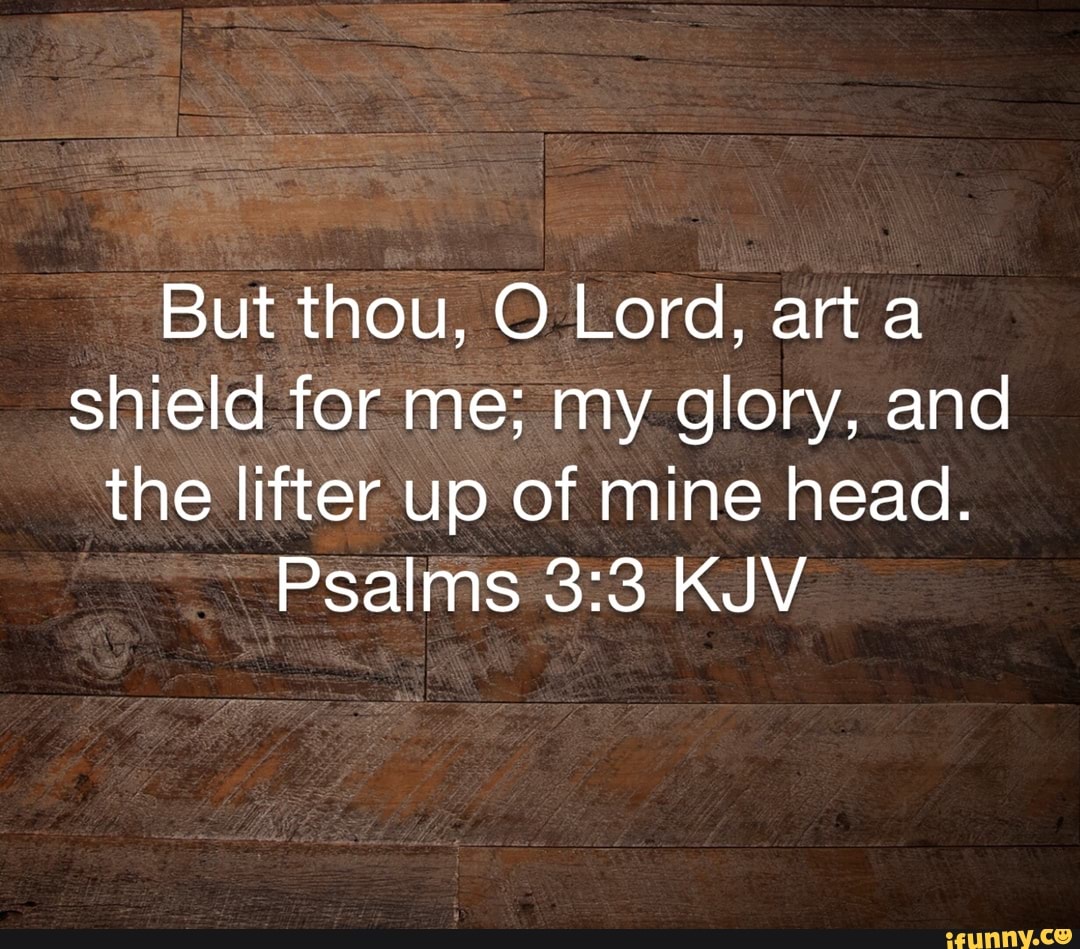 But thou, 0 Lord, art a shield for me; my glory, and the lifter up of