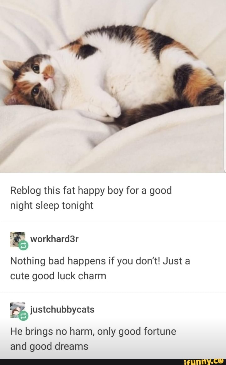 No sleep tonight meme