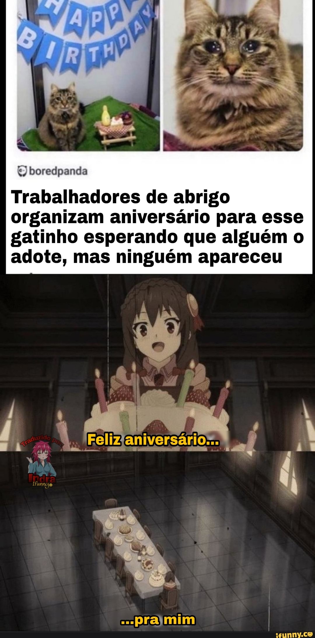 boredpanda
Trabalhadores de abrigo organizam aniversário para esse gatinho esperando que alguém o adote, mas ninguém apareceu
aniversári
prajmim