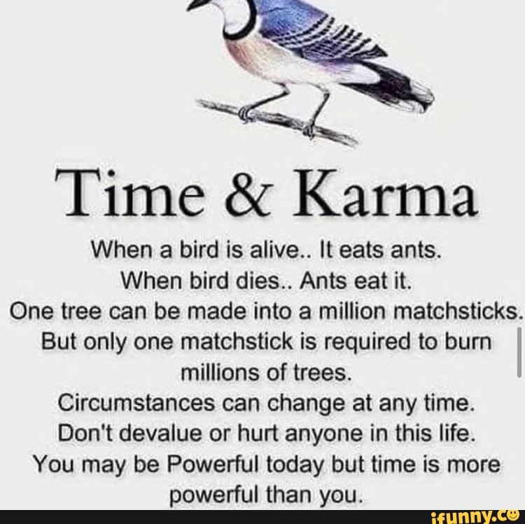 Time & Karma
When a bird is alive.. It eats ants.
When bird dies.. Ants eat it.
One tree can be made into a million matchsticks.
But only one matchstick is required to burn millions of trees.
Circumstances can change at any time.
Don't devalue or hurt anyone in this life.
You may be Powerful today but time is more powerful than you.