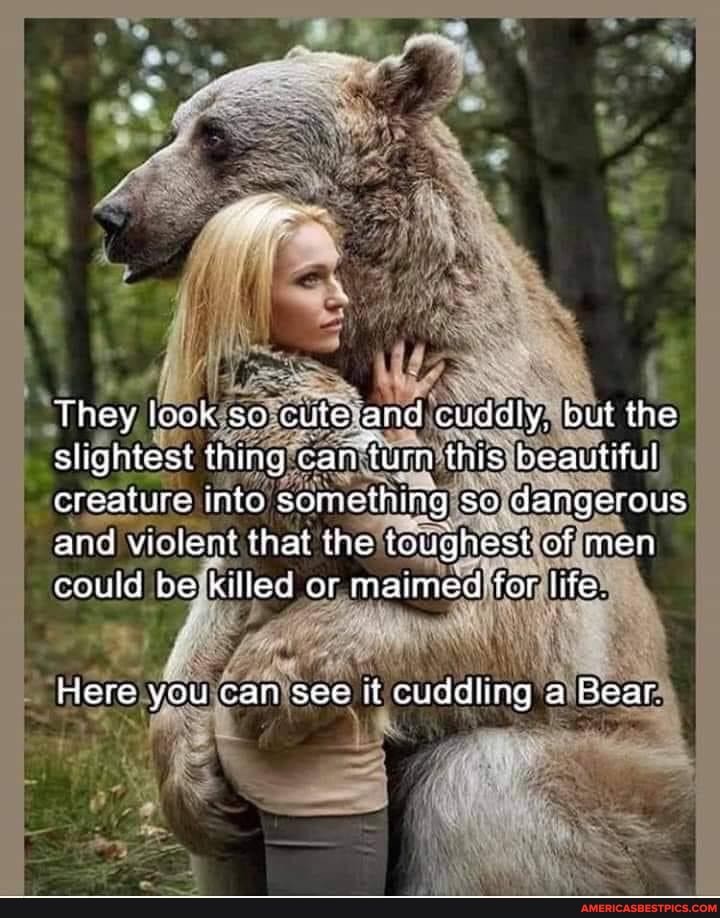 They look so cute and cuddly, but the slightest thing can turn this