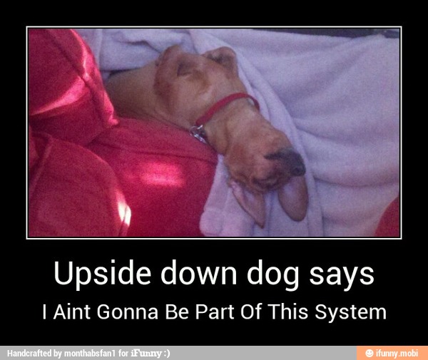 Upside down dog says
I Aint Gonna Be Part Of This System - Upside down dog says
I Aint Gonna Be Part Of This System