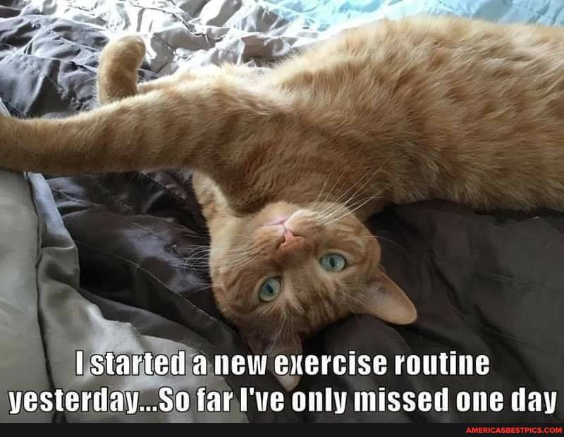 started new exercise routine vecsterday So farll've only miscen ne day