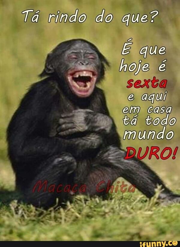 Tá rindo) do
pie
E que
hoje) é
sexta