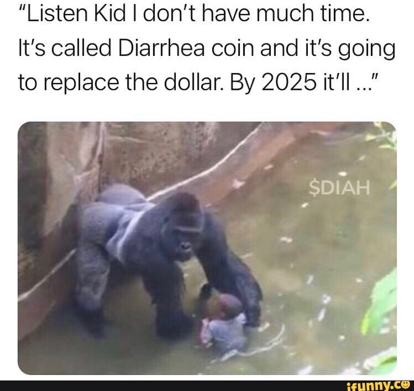 "Listen Kid I don't have much time.
It's called Diarrhea coin and it's going to replace the dollar. By 2025 it'll