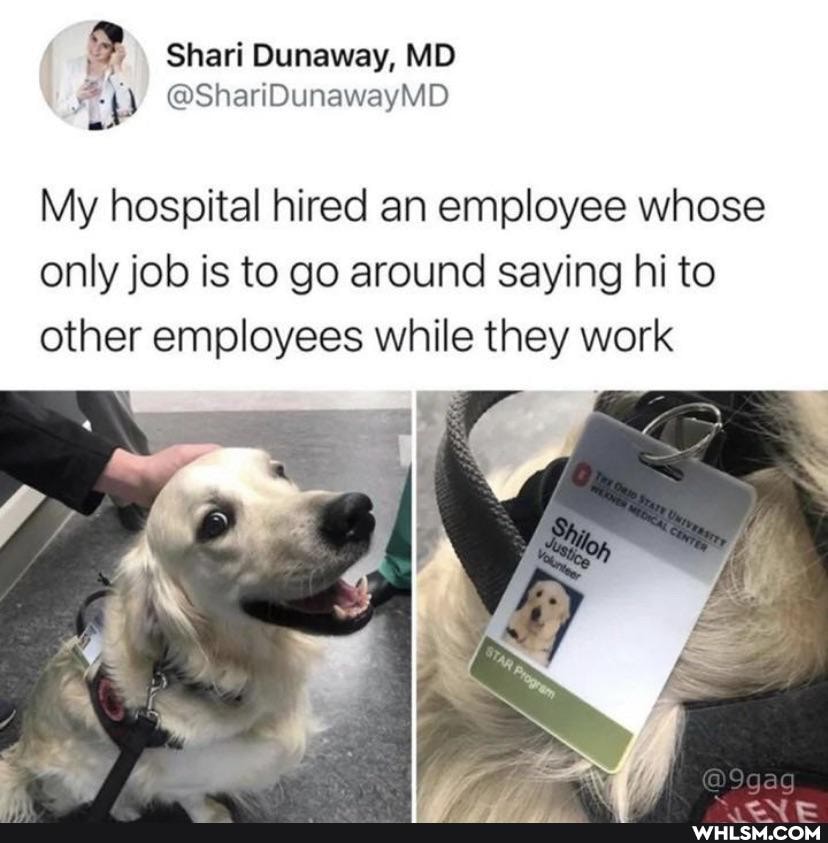 Shari Dunaway, MD
My hospital hired an employee whose only job is to go around saying hi to other employees while they work
SS