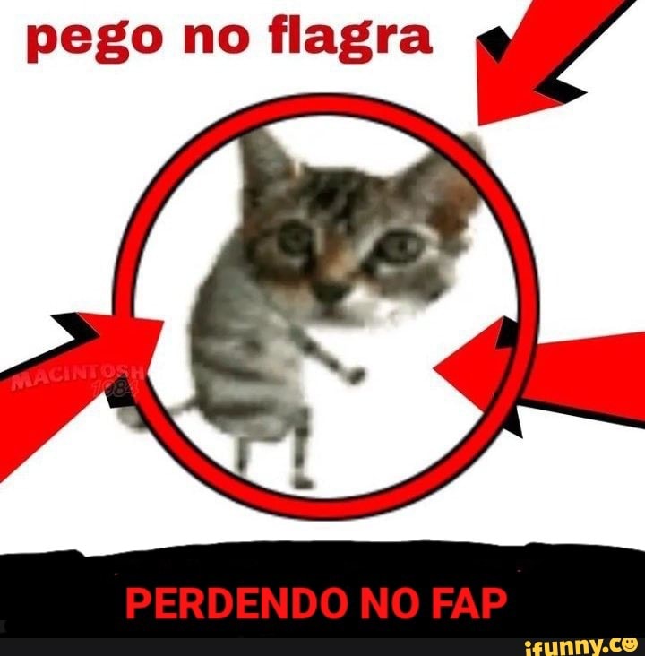 Pego No Flagra Perdendo No Fap Ifunny Brazil 