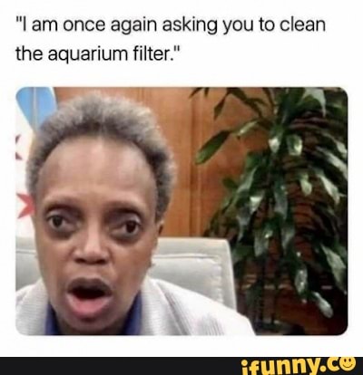 am once again asking you to clean the aquarium filter."