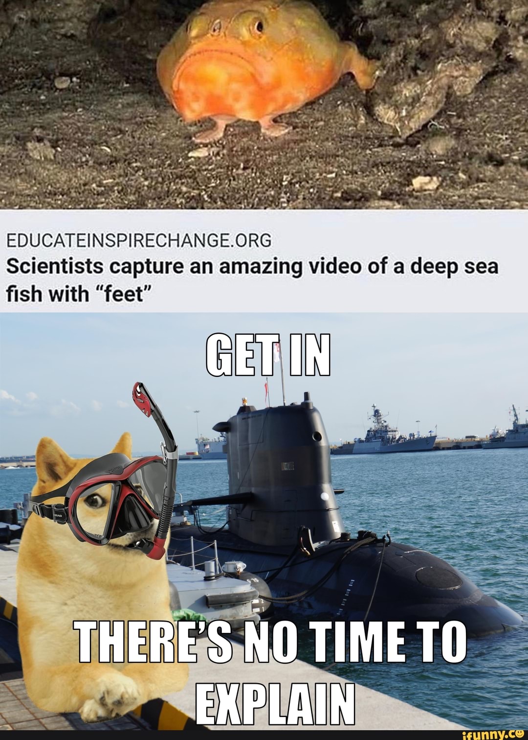 EDUCATEINSPIRECHANGE.ORG
Scientists capture an amazing video of a deep sea
fish with "feet"