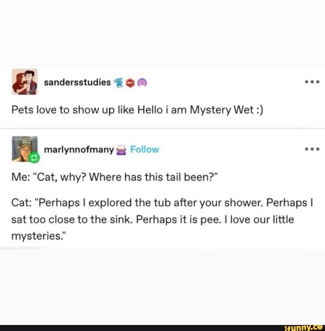  pee my stery Cat,