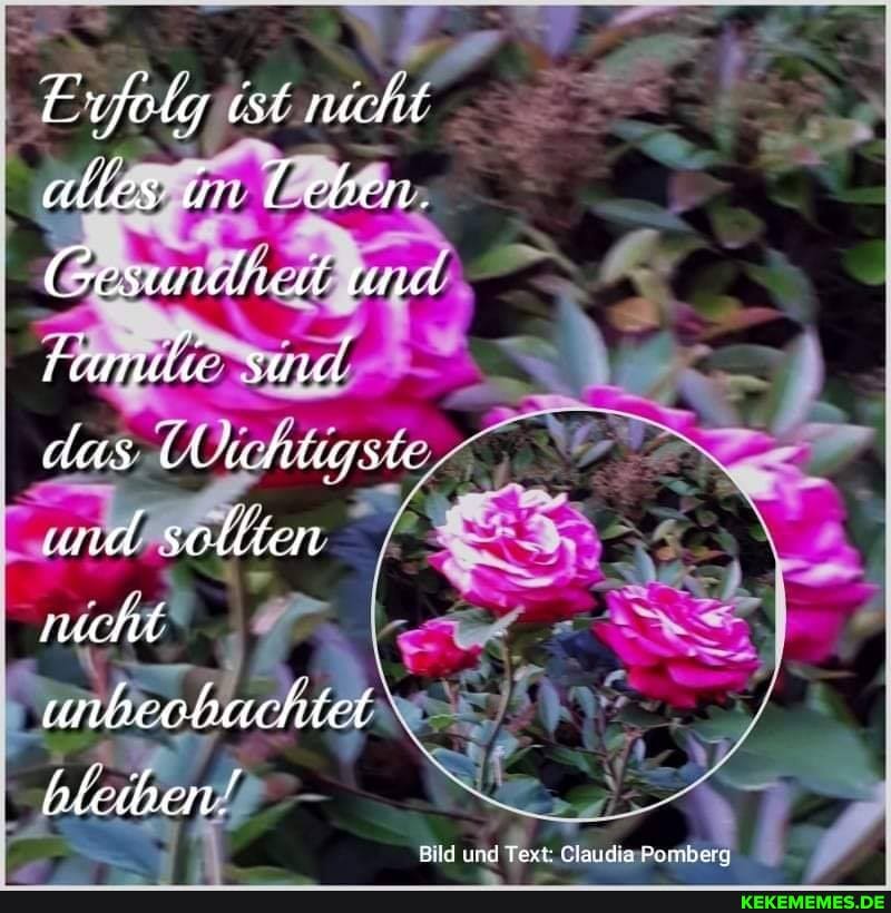 Erfolg est nicht alles un eeben,
Gesundheid nd
Famde sund das Üehtigste und sellten sucht unbechachtet
bleihen!
Bild) und Text: Glaucia Pombery