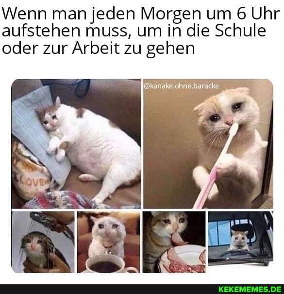 Wenn man jeden Morgen um Uhr aufstehen muss, um in die Schule oder zur Arbeit zu gehen
anske