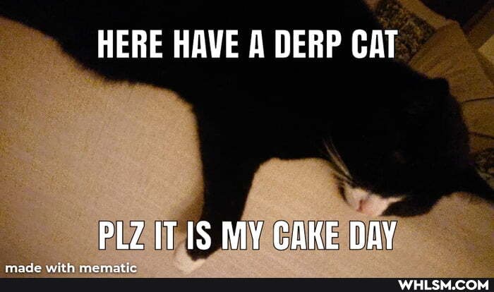 HERE HAVE A DERP CAT
PLZ IT MY CAKE DAY