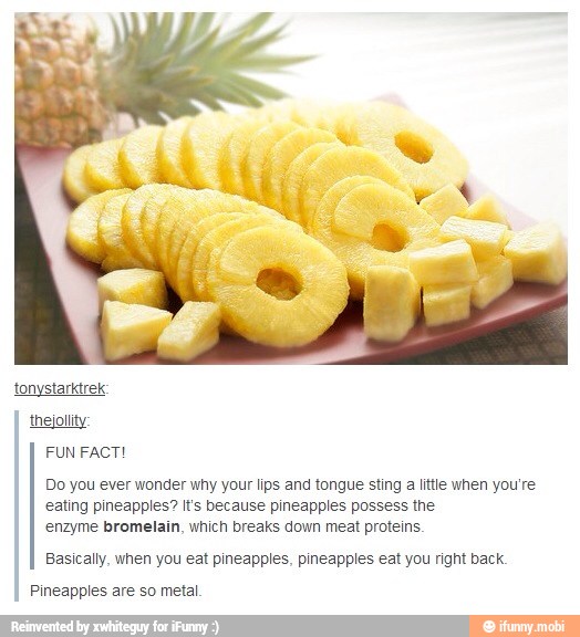 tonystarktrek
thejotlty
I FUN FACT!
Do you ever wonder why your lips and tongue sting
a
little when you're
eating pineapples? It's because pineapples possess the
enzyme bromelain, which breaks down meat proteins.
Basically, when you eat pineapples, pineapples eat you right back.
Pineapples are so metal