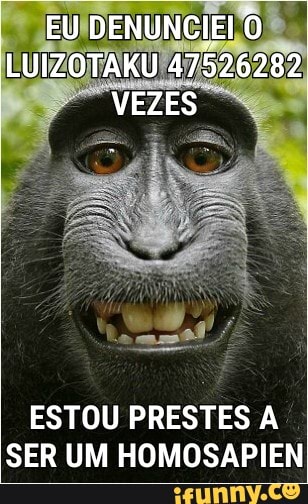 EU DENUNCIEI O LUIZOTAKU 47526282
I VEZES
ESTOU PRESTES A SER UM HOMOSAPIEN