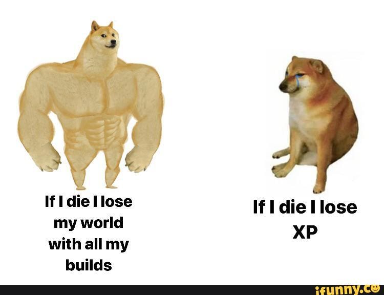 If die llose If Idie lose my world XP
with all my builds