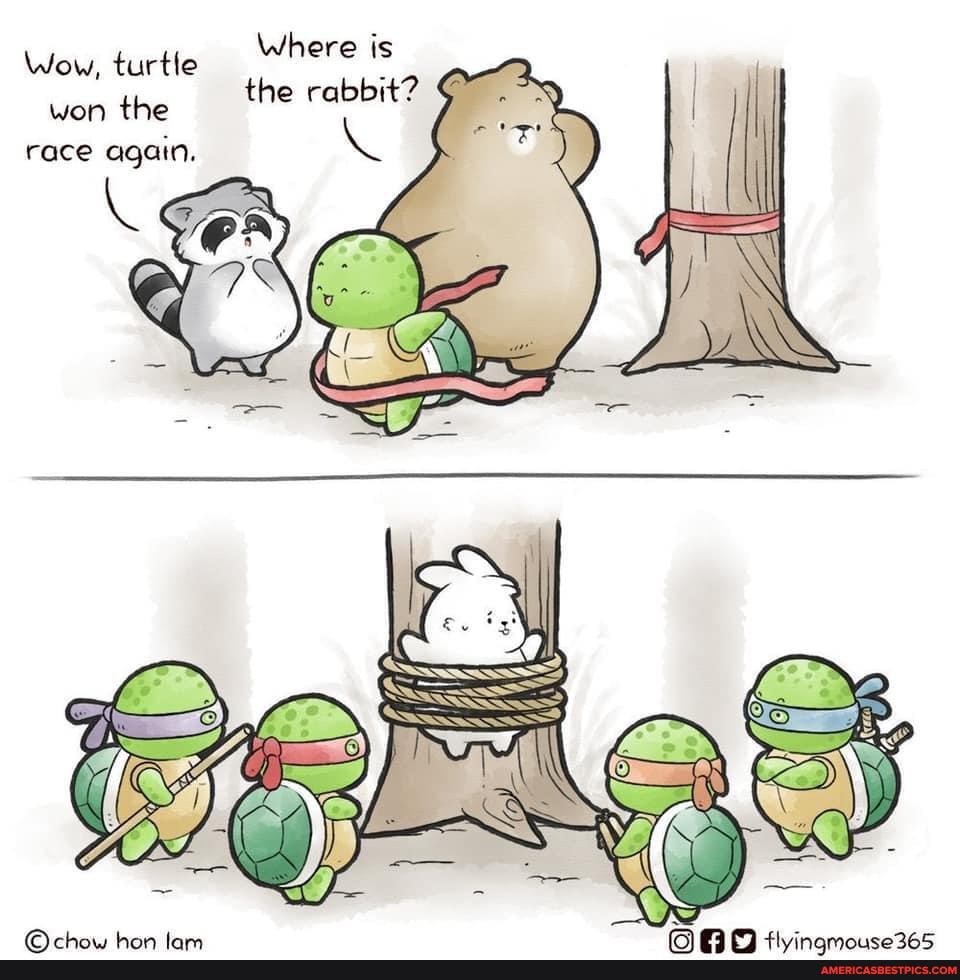 Where is
Wow, turtle the rabbit?
won the race again.