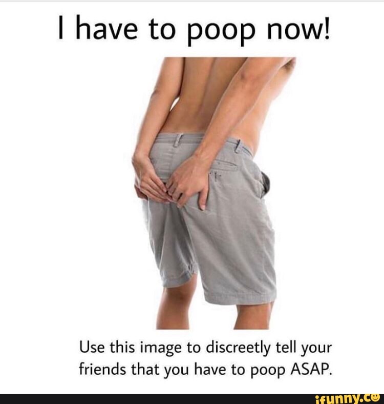 I Have To Poop Now Use This Image To Discreetly Tell Your Friends That You Have To Poop Asap Ifunny