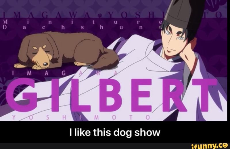 I like this dog show - I like this dog show