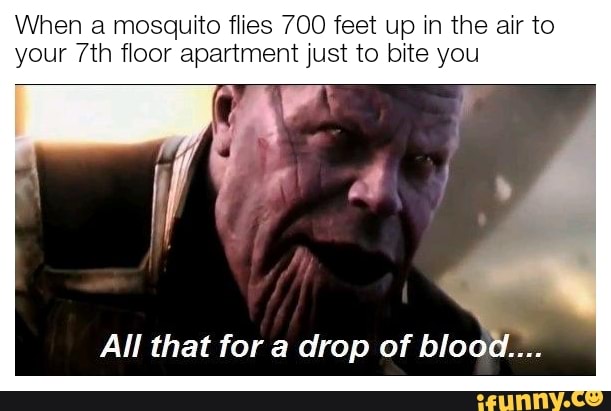 When a mosauito flies 700 feet up in the air to your floor apartment just to bite you
All that for a drop of blood
