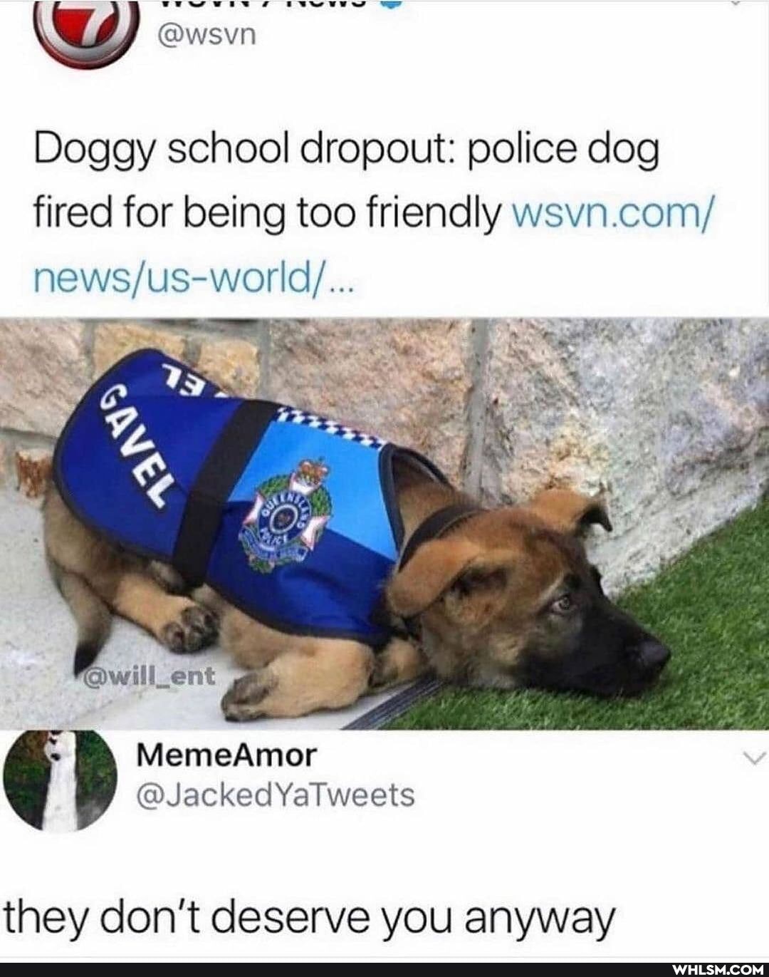 wy @wsvn
Doggy school dropout: police dog
fired for being too friendly wsvn.com/
@Jacked YaTweets
they don't deserve you anyway
