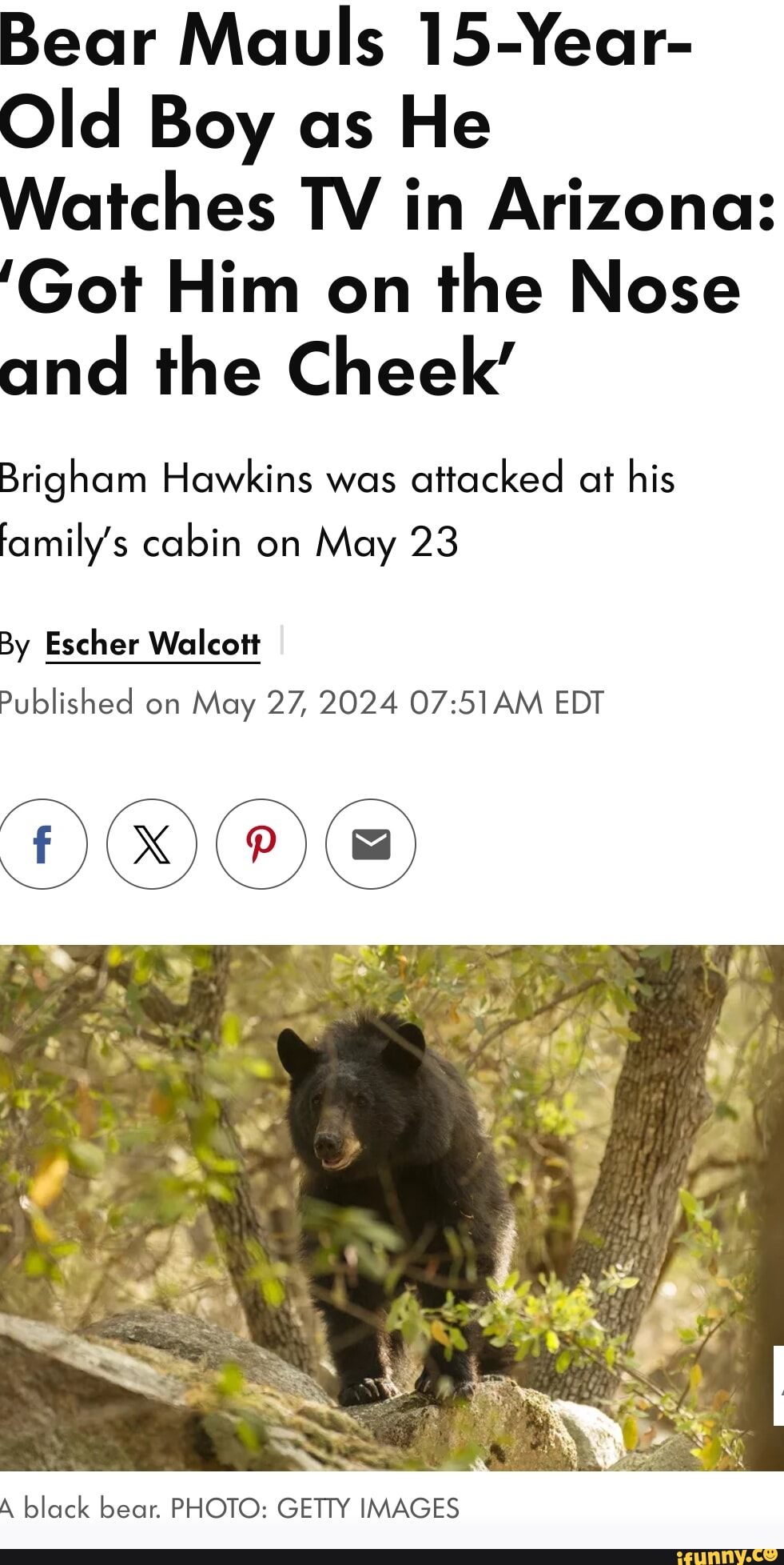 Familys memes. Best Collection of funny Familys pictures on iFunny