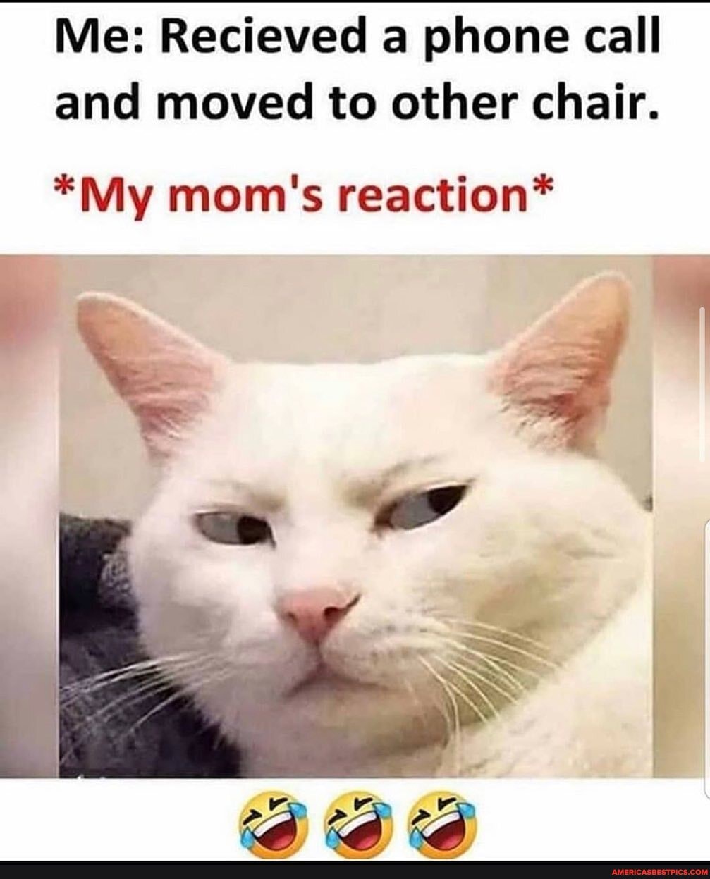 Me: Recieved a phone call and moved to other chair.
*My mom's reaction*
rs