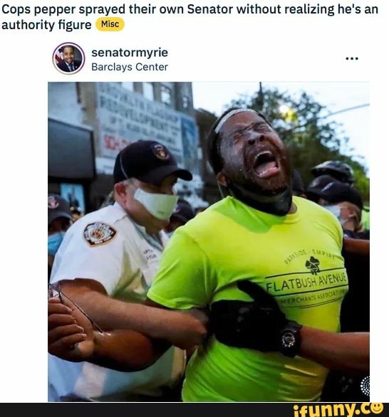 Cops pepper sprayed their own Senator without realizing he's an
authority figure Misc
senatormyrie
Barclays Center