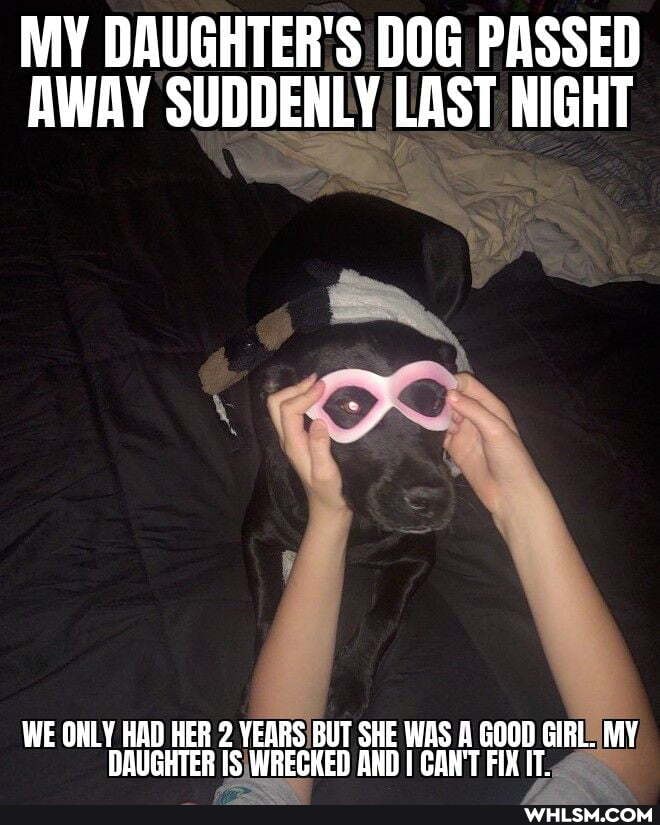MY DAUGHTER'S DOG PASSED AWAY SUDDENLY LAST NIGHT
WE ONLY HAD HER 2 YEARS BUT SHE WAS A GOOD GIRL. MY DAUGHTER WRECKED AND I CAN'T FIX IT.