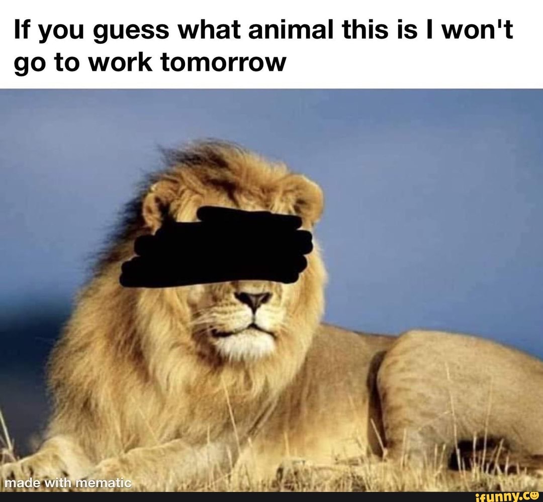 If you guess what animal this is I won't go to work tomorrow with -  