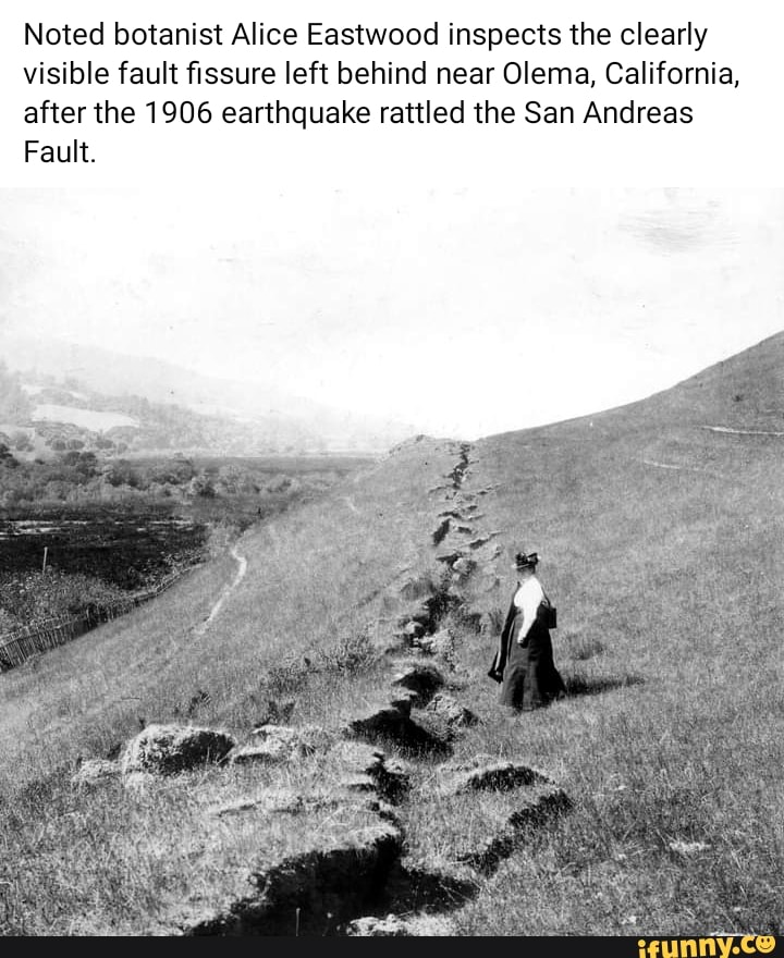 Noted botanist Alice Eastwood inspects the clearly visible fault ...