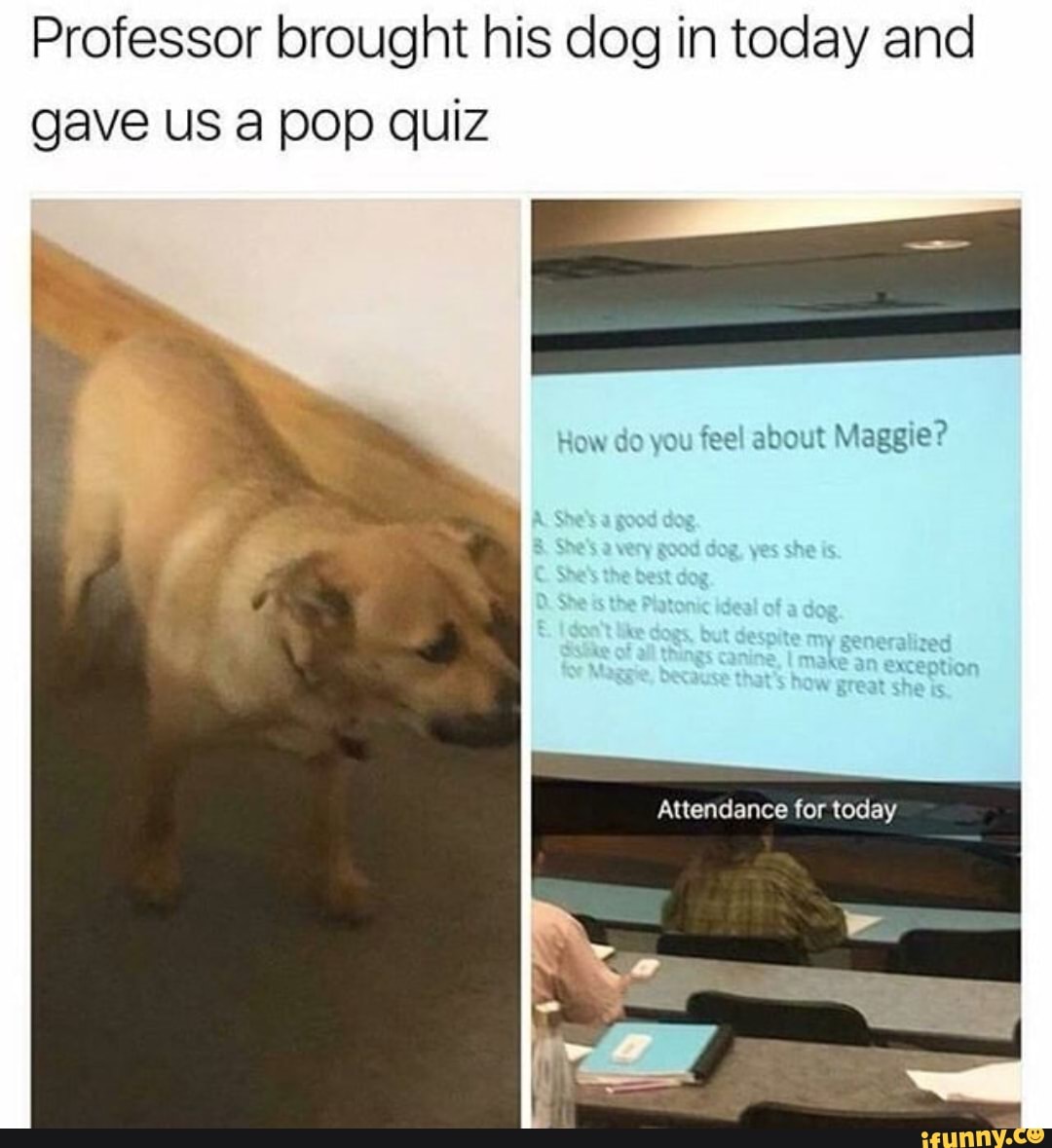 Professor brought his dog in today and gave us a pop quiz
How do you feel about Maggie?
A. She's. a good dog.
She's very good dog, yes she is.
She's the dest dog
She is the Platonic ideal of a dog.
gon't tike of dogs, but things despite Canine, I make an exce
Sseae of all things
Canine, I make an exce
Maggie, Decause that's how great
Attendance for today