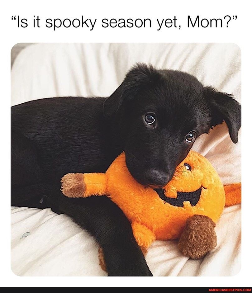 "Is it spooky season yet, Mom?"