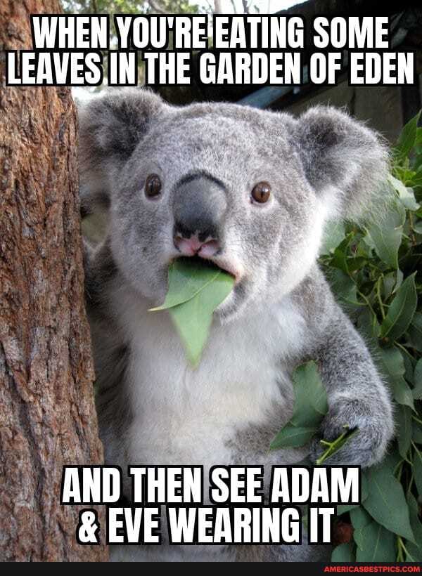 WHEN. YOU'REEATING SOME LEAVES .iN THE GARDEN OF EDEN
AND THEN SEE ADAM
& EVE WEARING IT