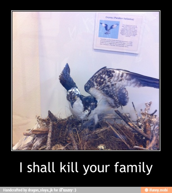 I shall kill your family - I shall kill your family