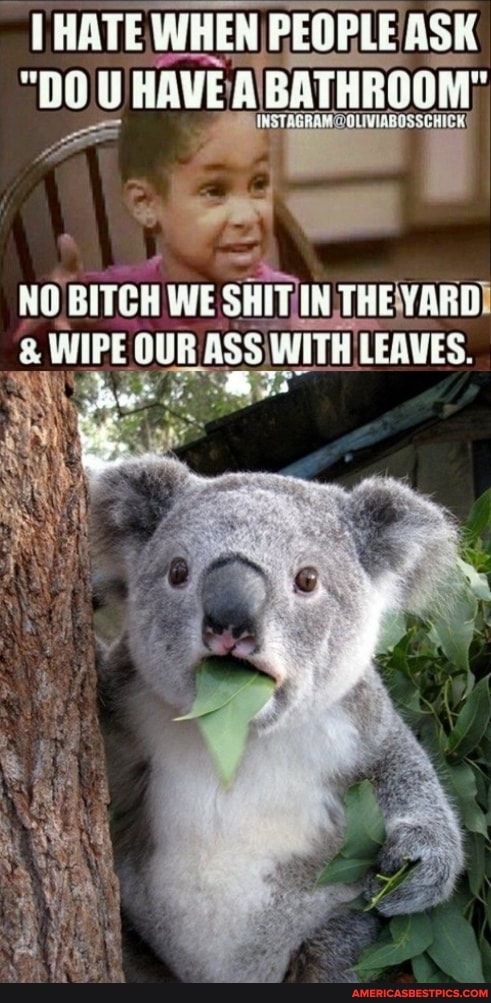 HATE WHEN PEOPLE ASK U HIVE BATHROOM"
NO BITCH WE SHIT IN THE YARD WIPE OUR ASS WITH LEAVES.