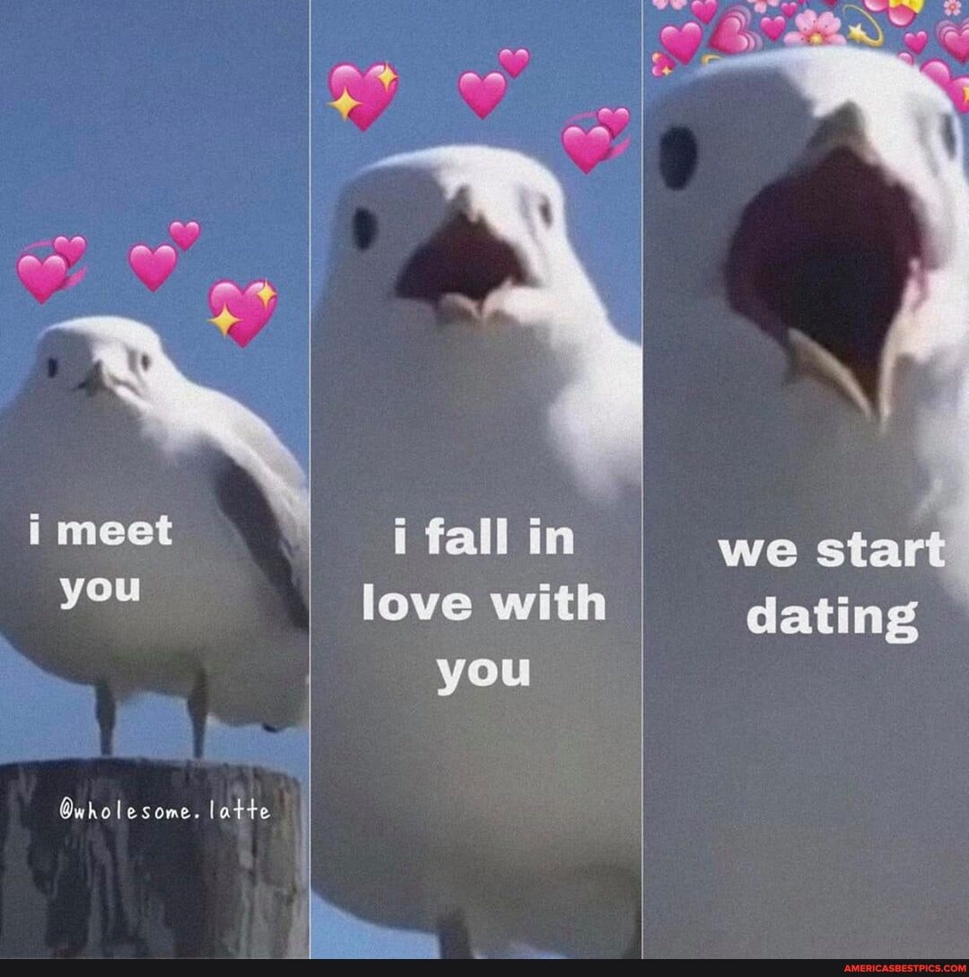 love with you
meet
you
Gwholesome. latte
i fall in
we star dating