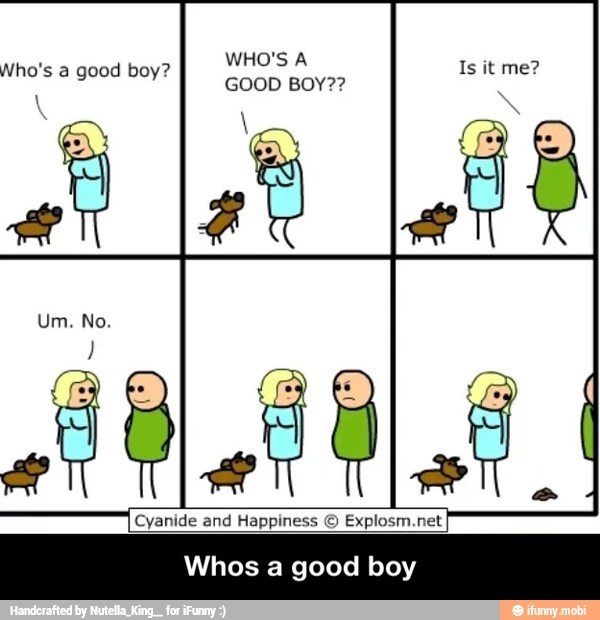 WHO'S A
GOOD BOY??
Who's a good boy? - Whos a good boy