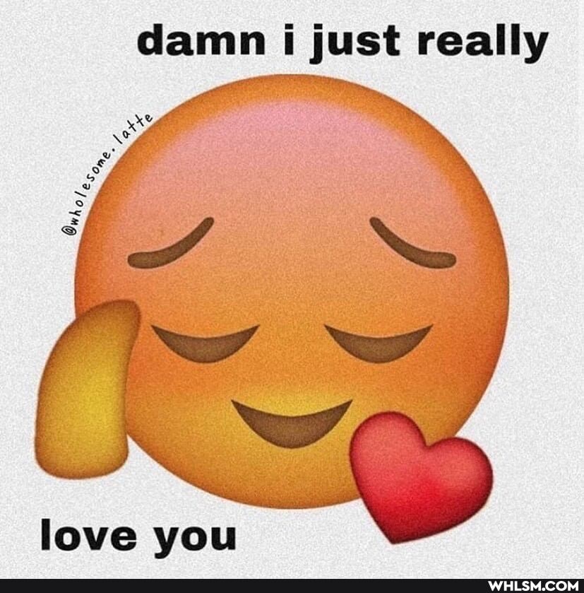 damn i just really
ry
love you