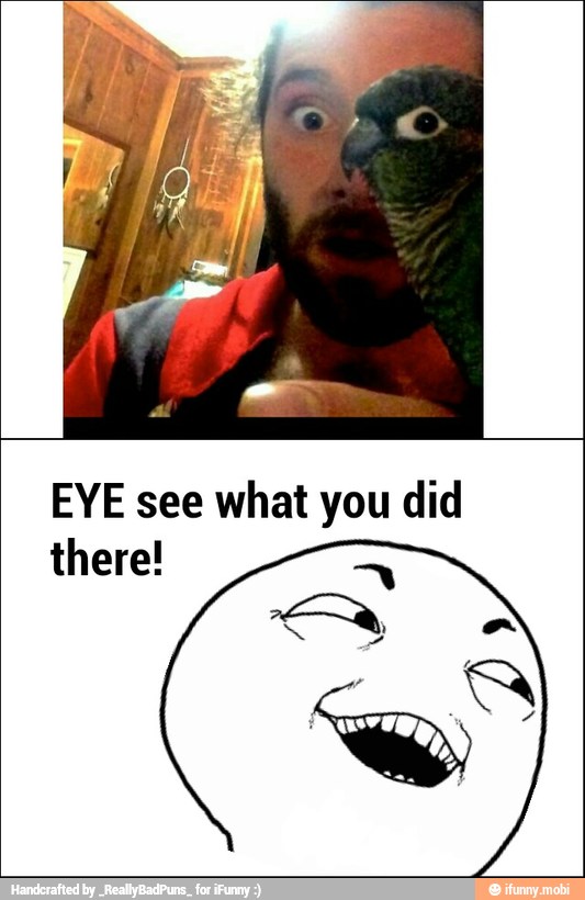 EYE see what you did
there!