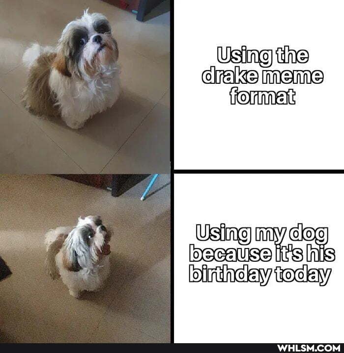 Using the
Using
Gog
my
USO his binthday teday