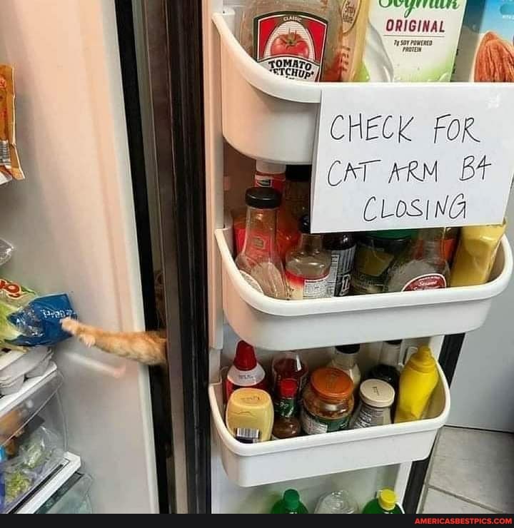 CHECK FOR.
CAT ARM B CLOSING