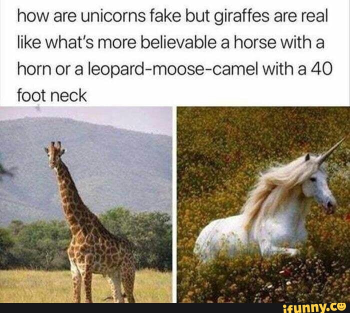 popular-memes-memes-the-best-memes-on-ifunny