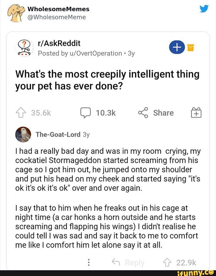 Flapping Cheeks WholesomeMemes ww @WholesomeMeme Posted by What's the most creepily ...