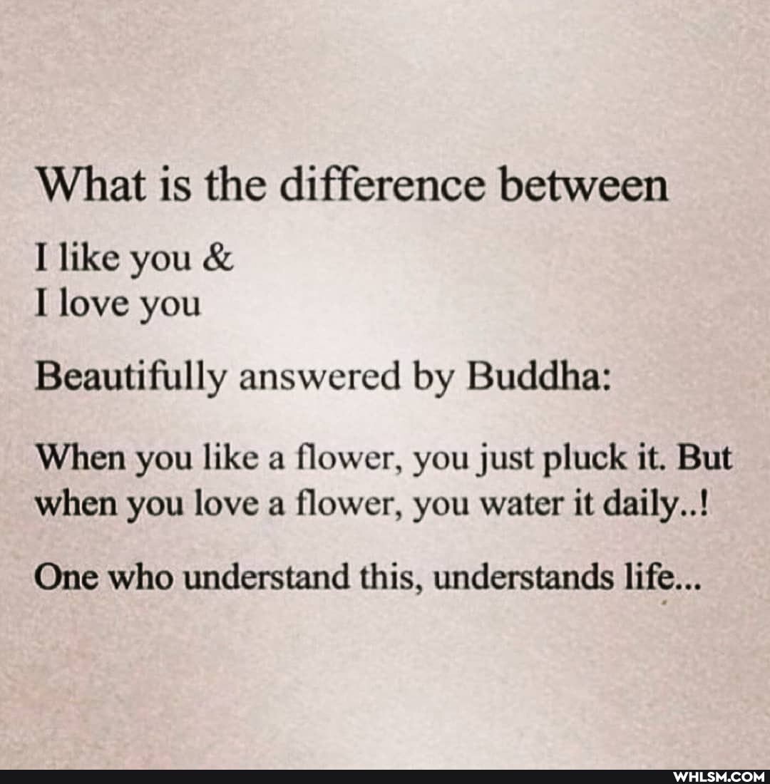 What is the difference between
I like you &
I love you
Beautifully answered by Buddha:
When you like a flower, you just pluck it. But when you love a flower, you water it daily..!
One who understand this, understands life...